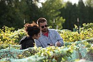 Professor and student observe grapes on the vine 