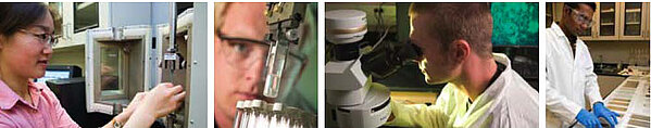 4 pictures of students in a laboratory settings with slides, test tubes, microscope